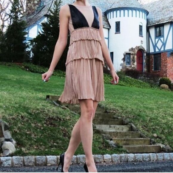 BCBGMAXAZRIA Averil Sequin Pleated Tiered Sleeveless Mesh Mini Dress | SZ L - Picture 4 of 17